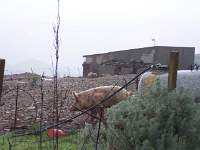 065 San Nicolo Gerrei